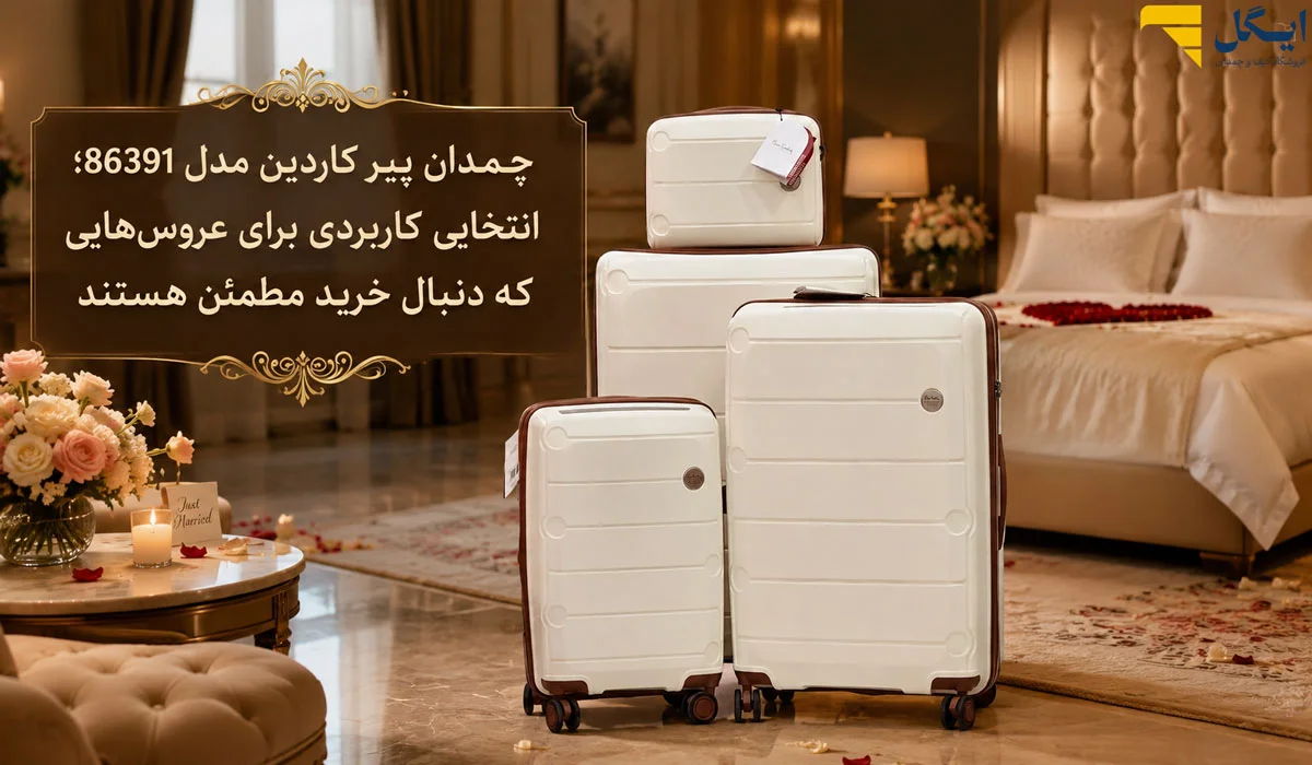 چمدان پیرکاردین مدل 86391
