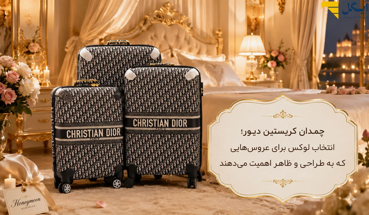چمدان کریستین دیور